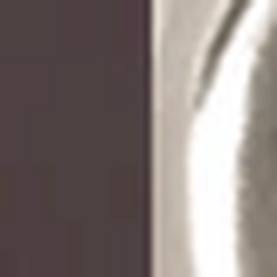 Aeyde Reed Ledergürtel