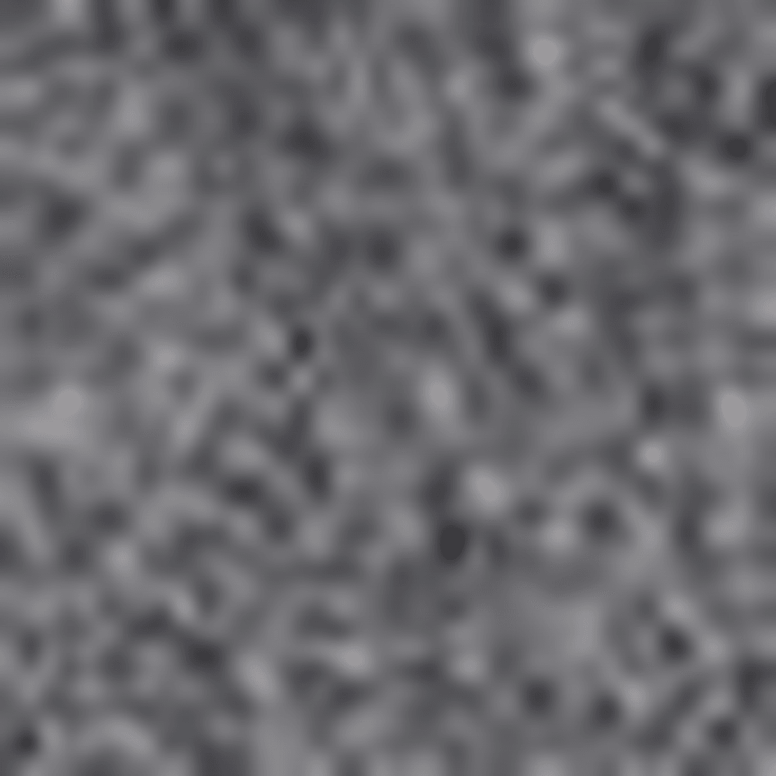 Aeyde Bela Cashmere Scarf