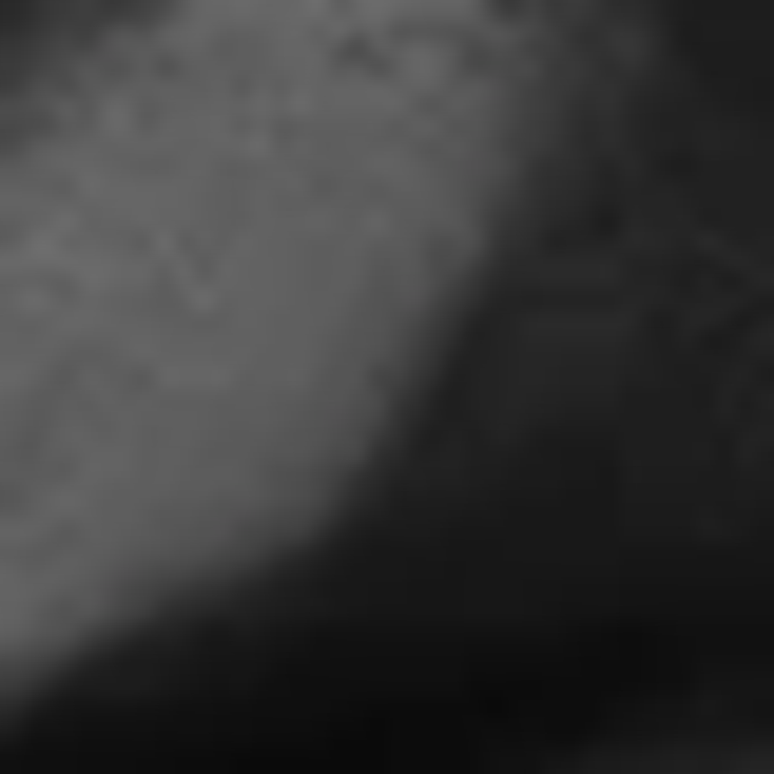 Aeyde Renee Leather Thong Sandals