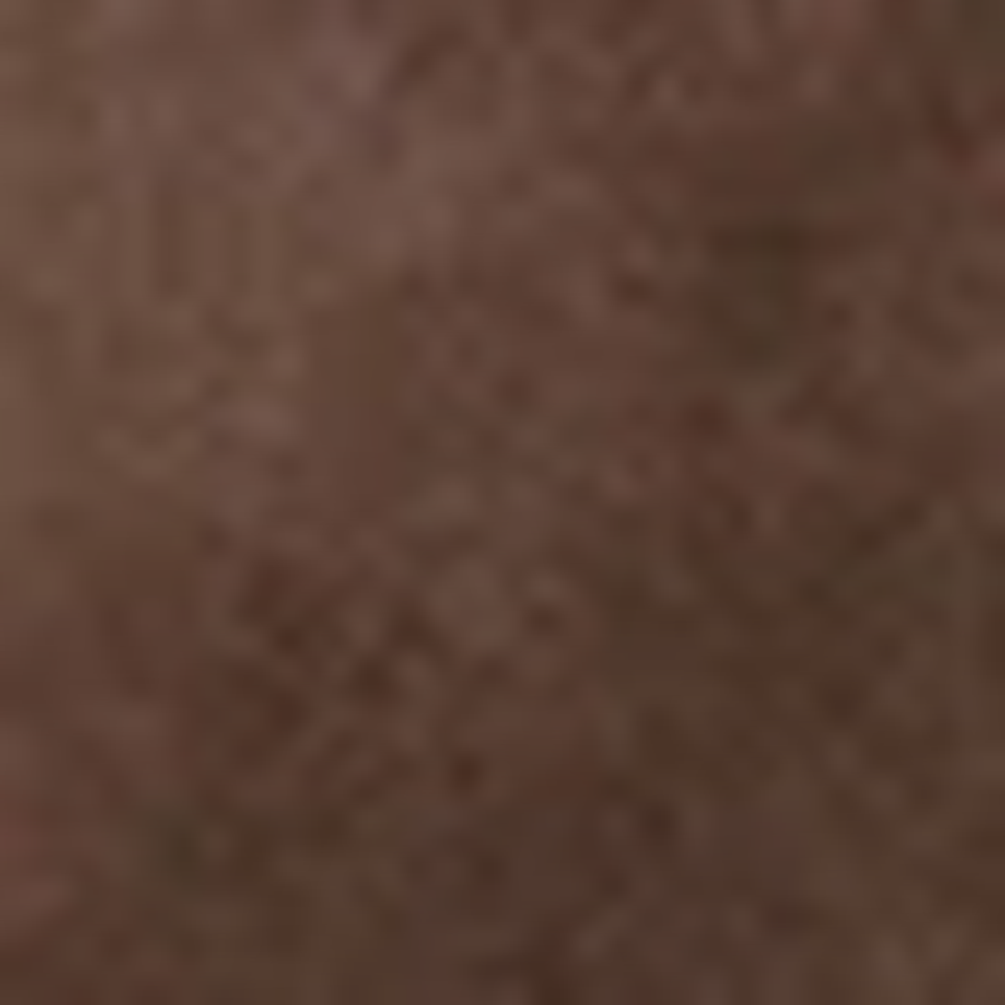 Aeyde Anna Suede Sandals