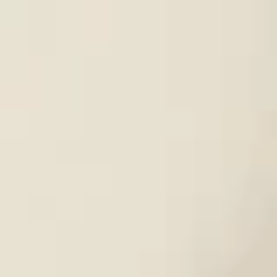 Aeyde Melody Leather Thong Sandal