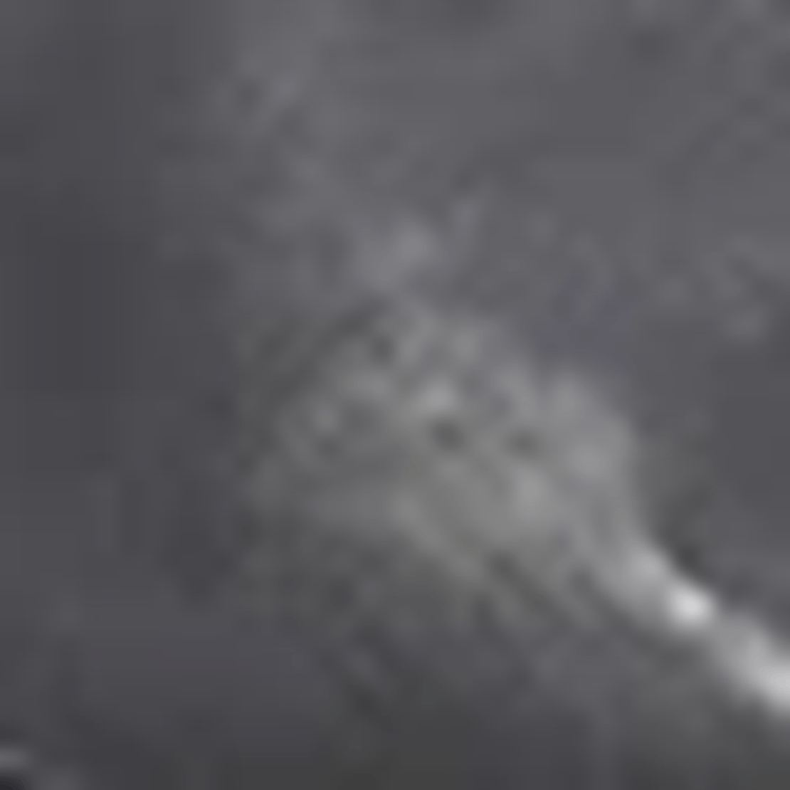 Aeyde Delia Low-Heeled Ballet Pumps