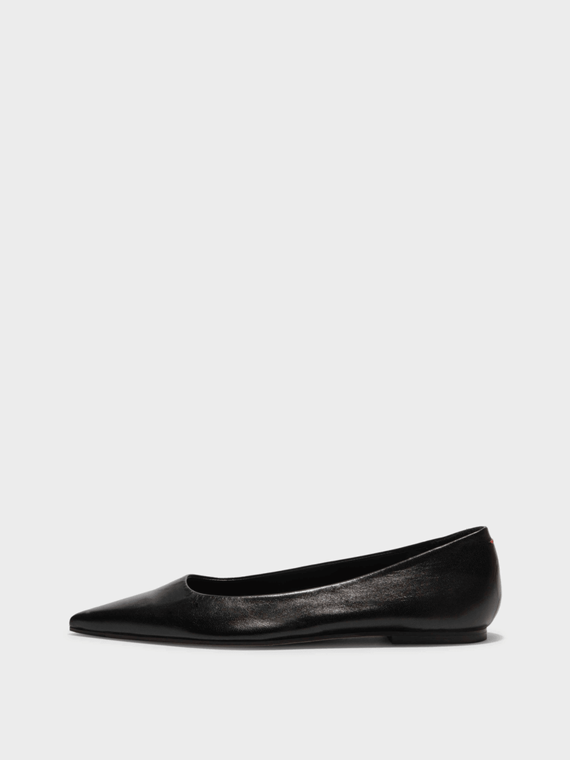 Aeyde Cassy Pointed-Toe Flats