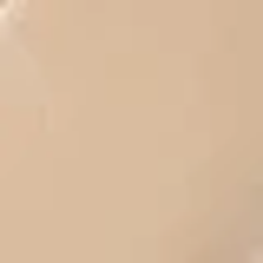 Aeyde Delia Low-Heeled Ballet Pumps