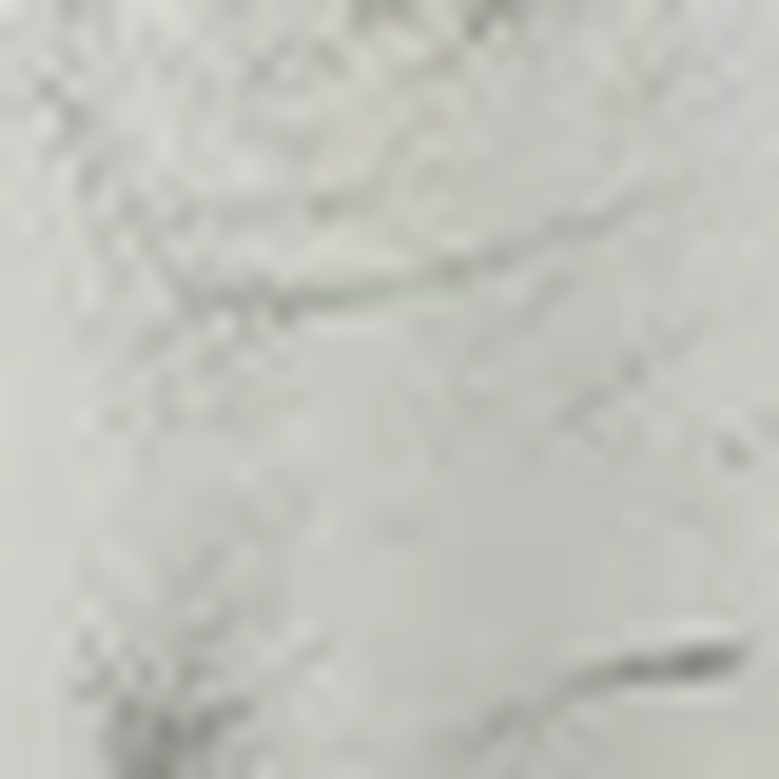 Aeyde Dua Laminirano Usnjeno Usnje