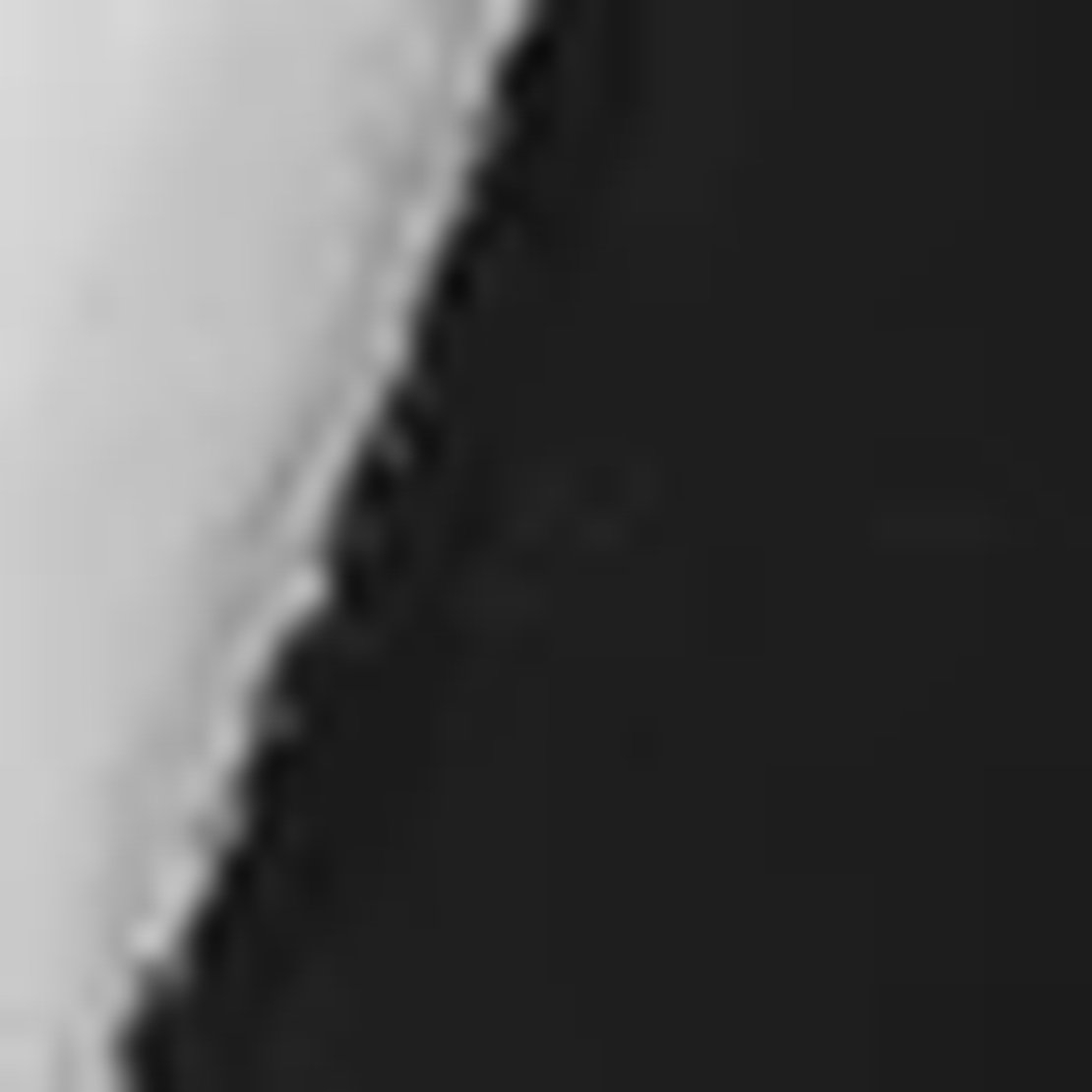 Aeyde Catrina Slingback Pumps