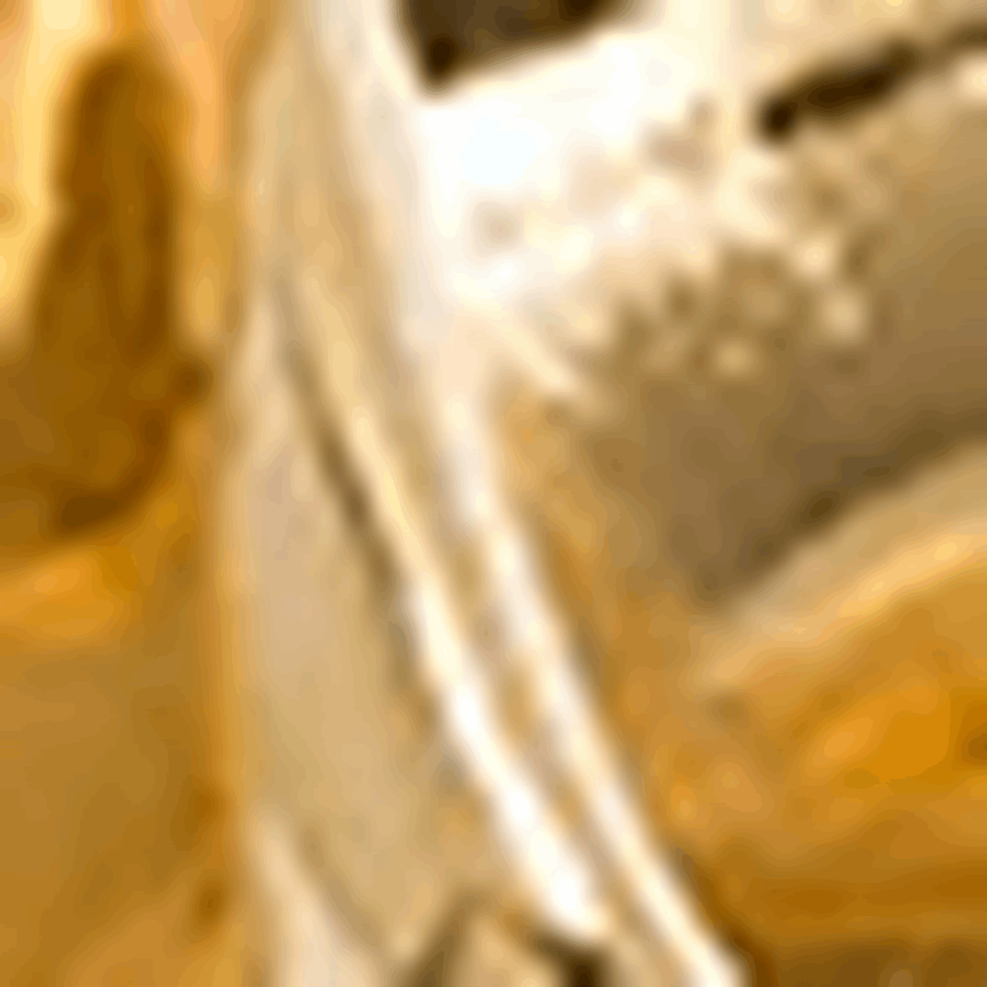 Aeyde Alaya Small 18kt Gold-Plated Hoop Earrings