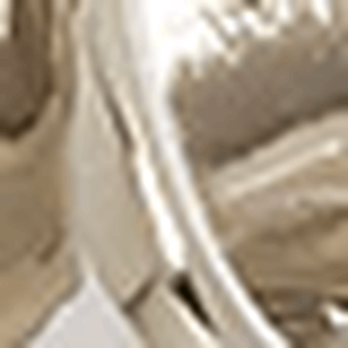 Aeyde Alice Small Palladium-Plated Earrings